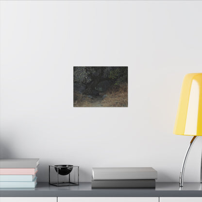 Hidden Path Wall Art Canvas
