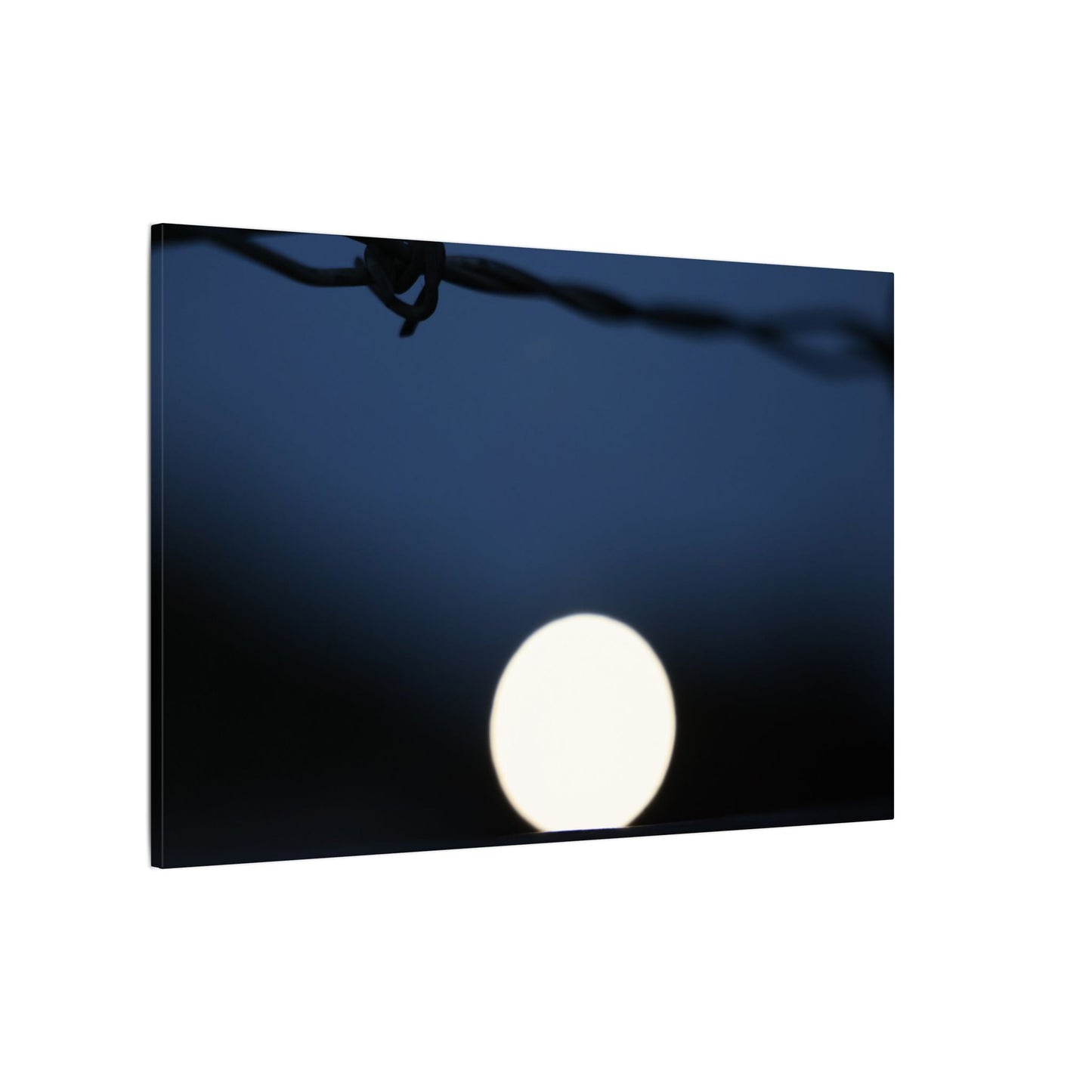 Werewolf Wall Art Canvas