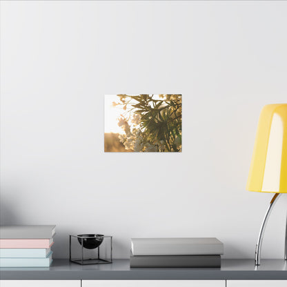 Nerium Oleander Rosebay Wall Art Canvas
