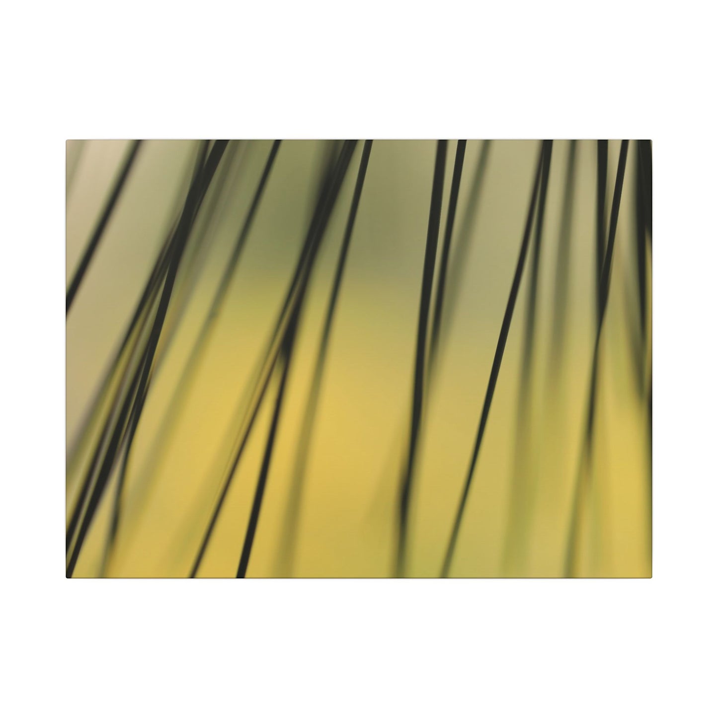 Through the Pine Needles Wall Art Canvas