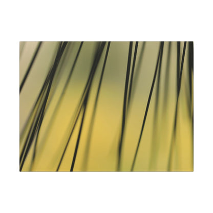 Through the Pine Needles Wall Art Canvas