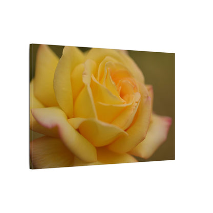 Yellow Delight Rose Wall Art Canvas
