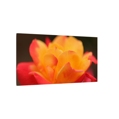 Electric Bloom Wall Art Canvas