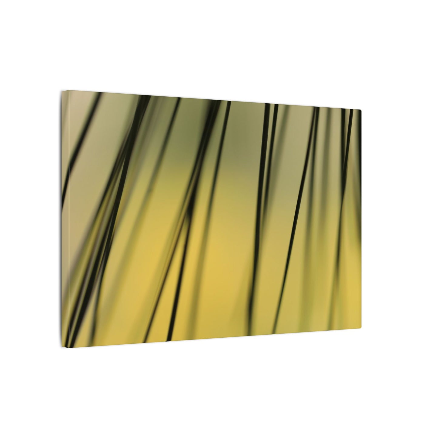 Through the Pine Needles Wall Art Canvas