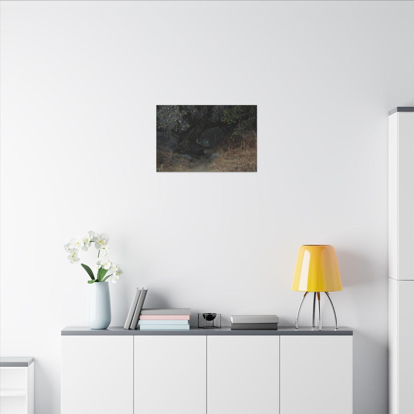 Hidden Path Wall Art Canvas
