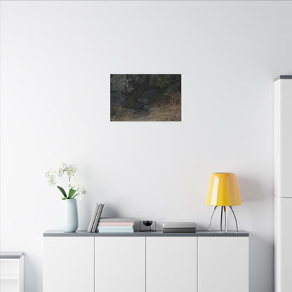 Hidden Path Wall Art Canvas