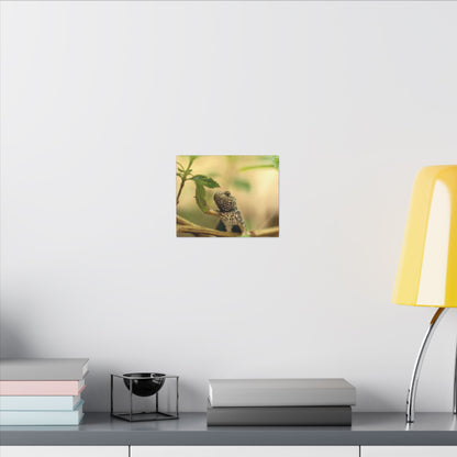 Lizard King Wall Art Canvas