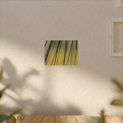 Through the Pine Needles Wall Art Canvas