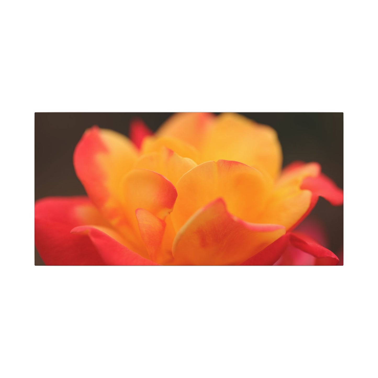 Electric Bloom Wall Art Canvas
