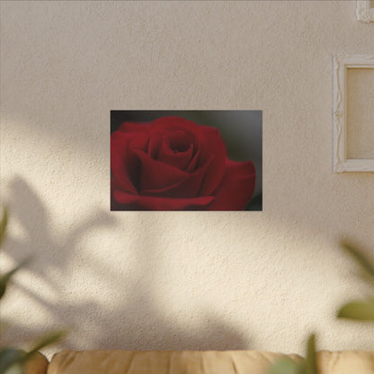 Red Rush Rose Wall Art Canvas