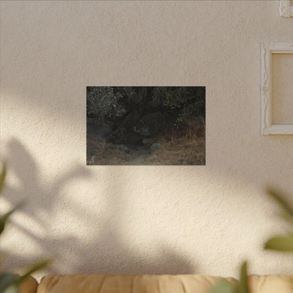 Hidden Path Wall Art Canvas