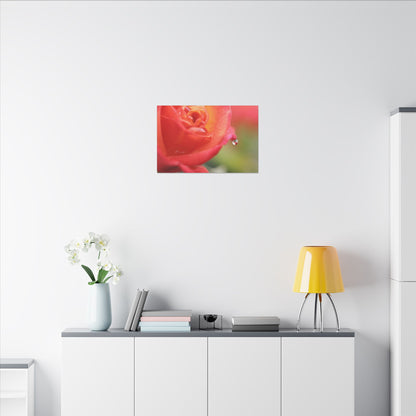 Drip Reflection Rose Wall Art Canvas