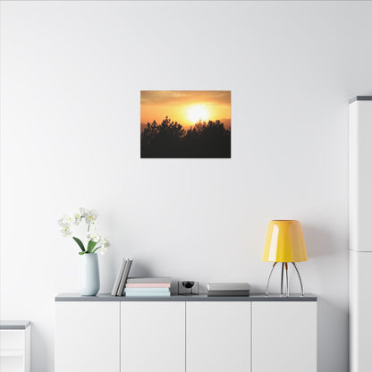 Angeles Forest Wall Art Canvas