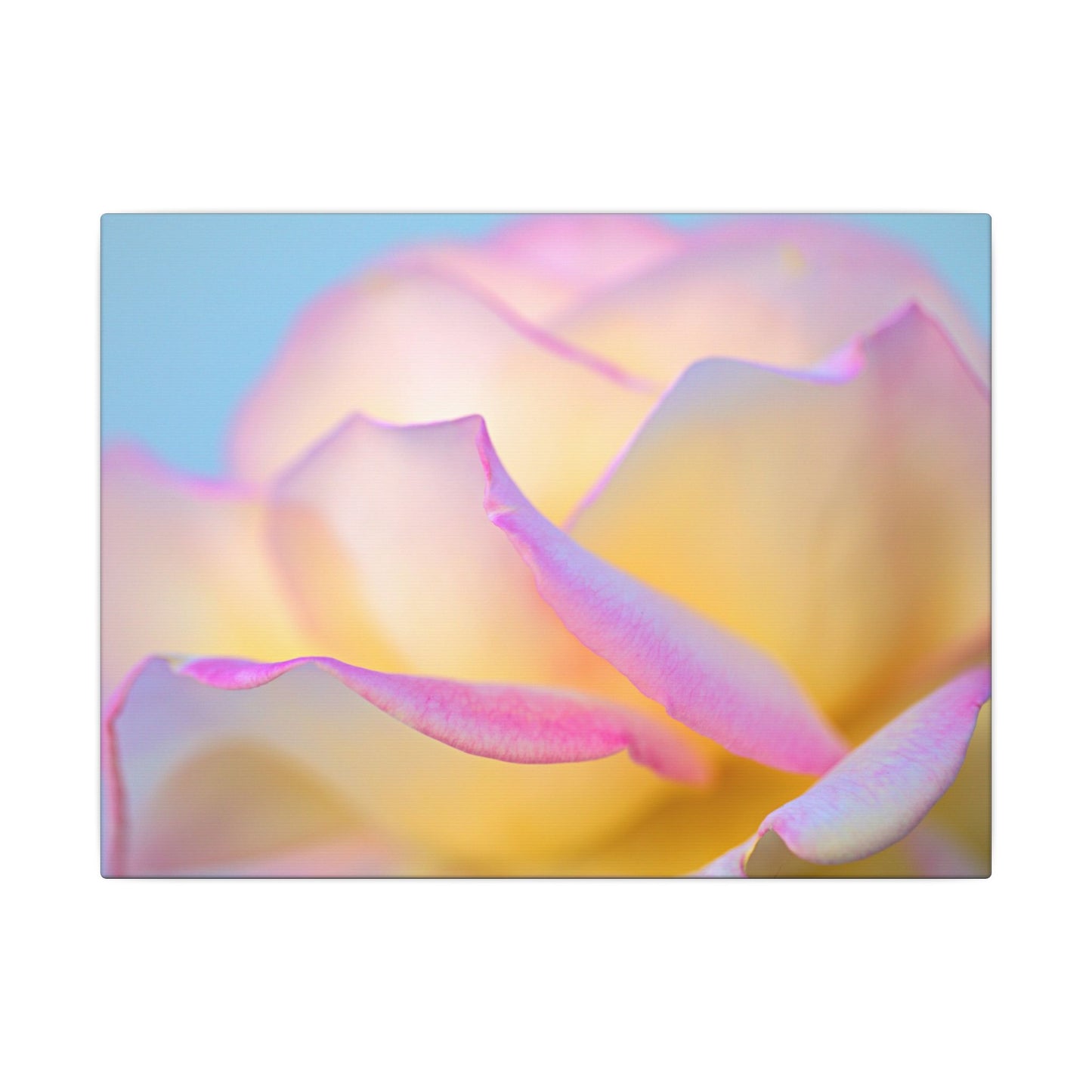 Enchanting Layers Rose Wall Art Canvas