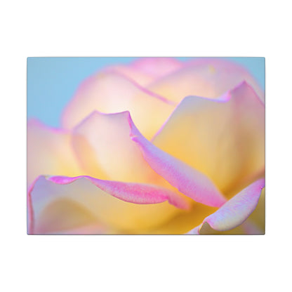 Enchanting Layers Rose Wall Art Canvas