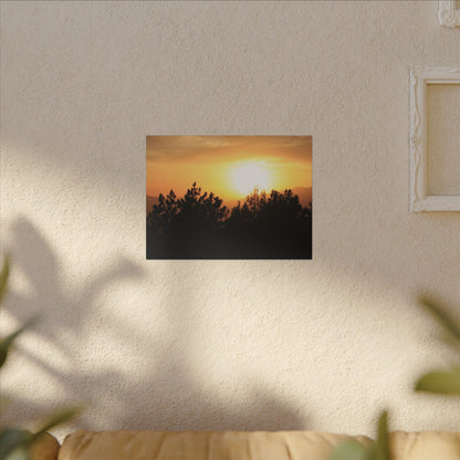 Angeles Forest Wall Art Canvas