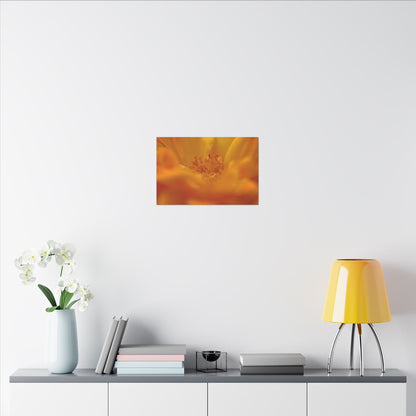 Hidden Gem Rose Wall Art Canvas
