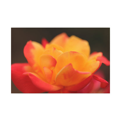 Electric Bloom Wall Art Canvas