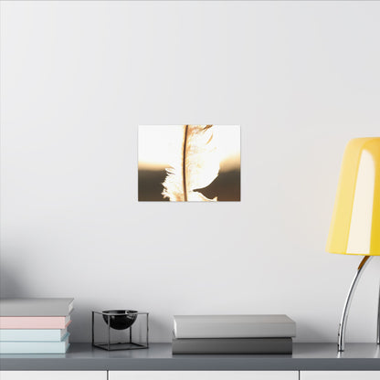 Feather in the Sun Wall Art Canvas