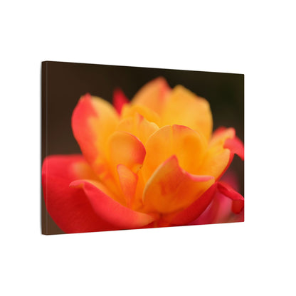 Electric Bloom Wall Art Canvas