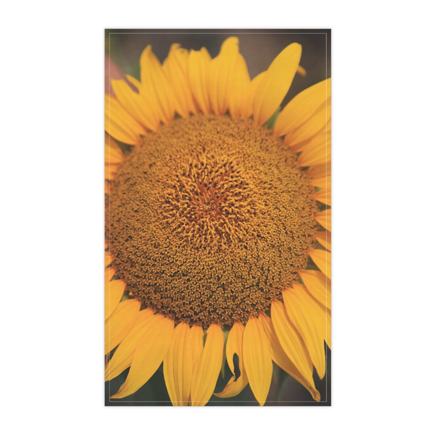 Sunflower Kiss Tea Towel