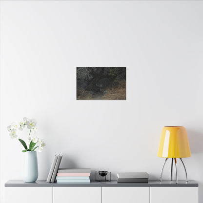 Hidden Path Wall Art Canvas