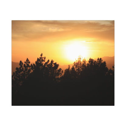 Angeles Forest Wall Art Canvas