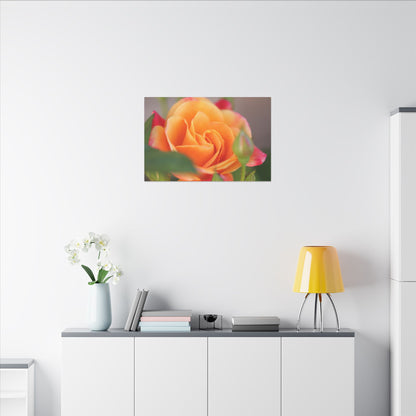 Paradise Rose Wall Art Canvas
