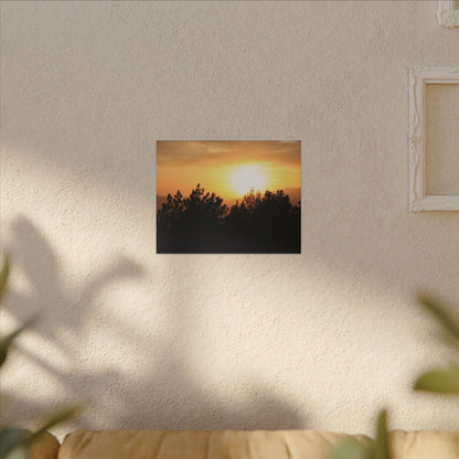 Angeles Forest Wall Art Canvas
