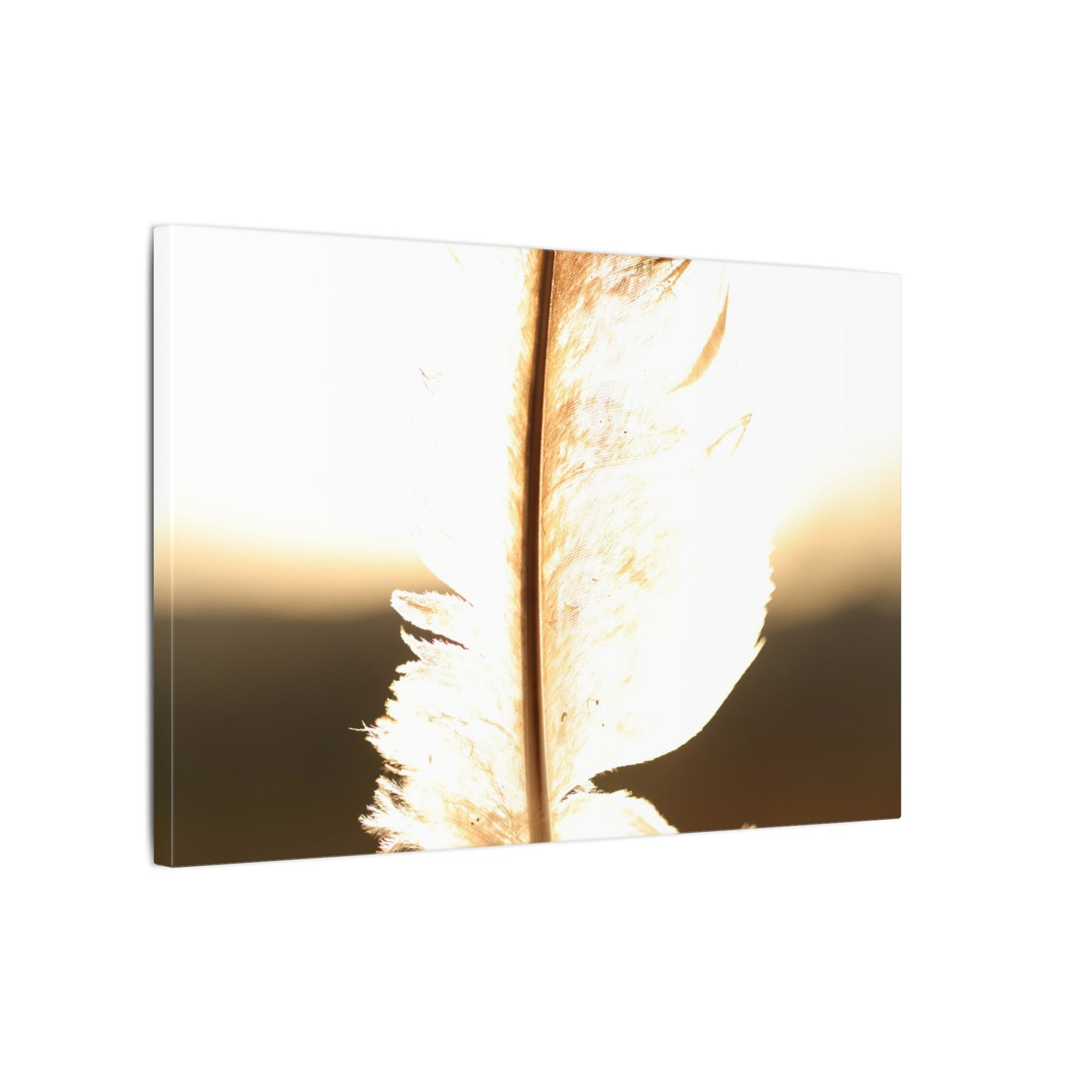 Feather in the Sun Wall Art Canvas