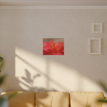 Color Bloom Rose Wall Art Canvas