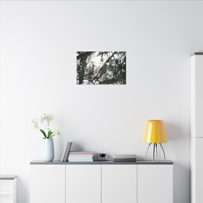 Of The Trees Wall Art Canvas