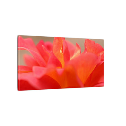 Color Bloom Rose Wall Art Canvas