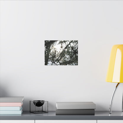 Of The Trees Wall Art Canvas