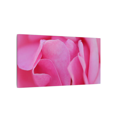 Voluptuous Pink Rose Wall Art Canvas