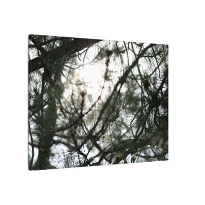 Of The Trees Wall Art Canvas