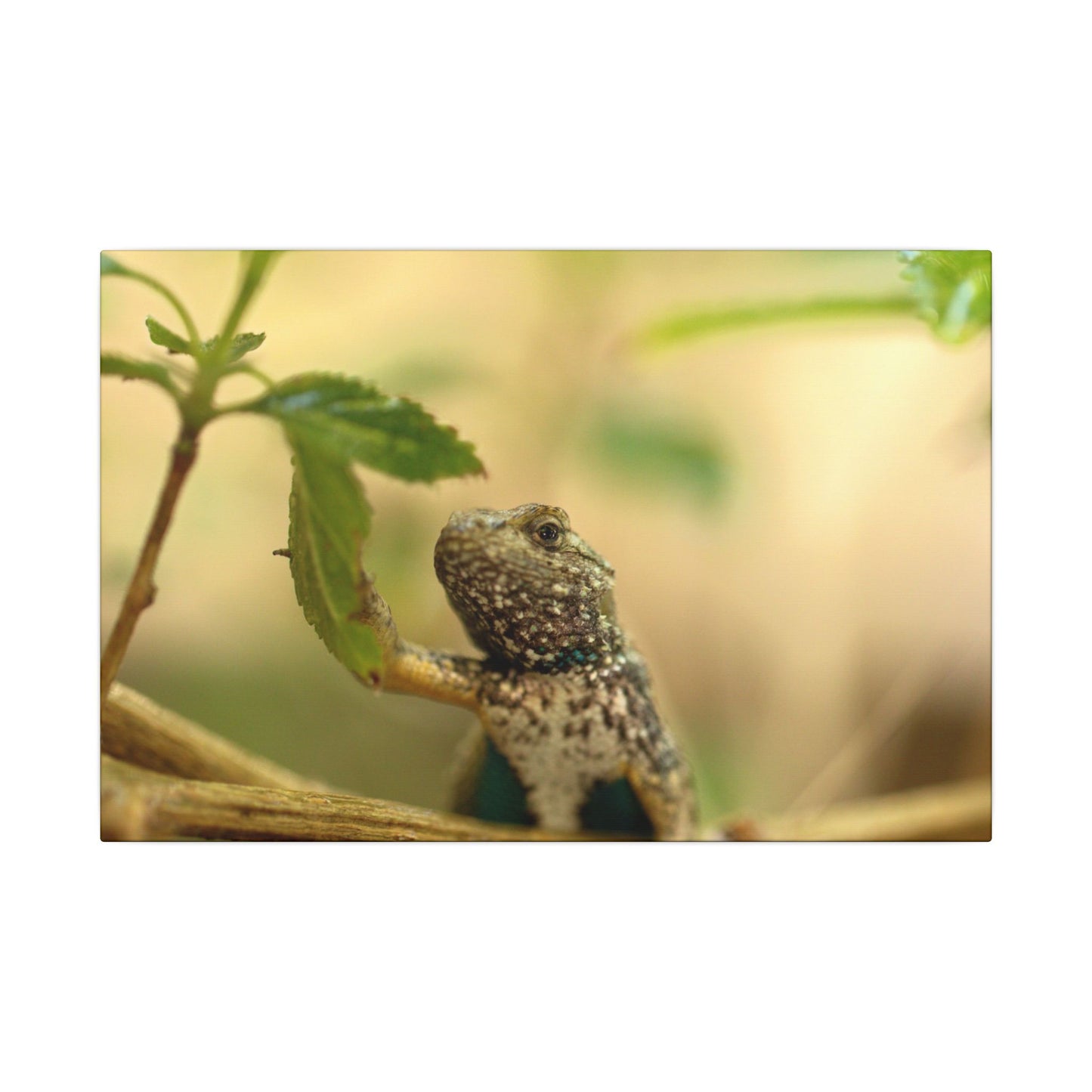 Lizard King Wall Art Canvas