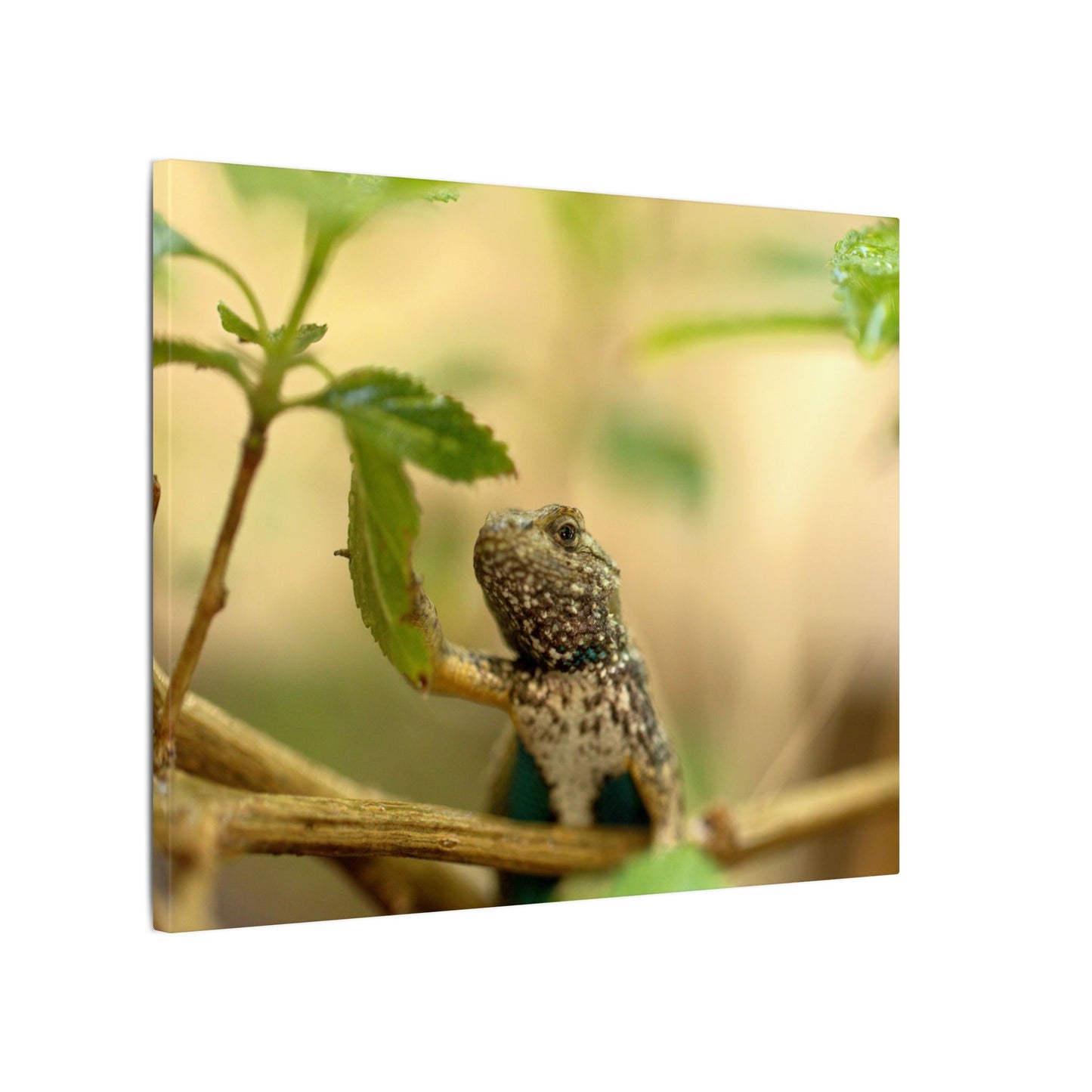 Lizard King Wall Art Canvas