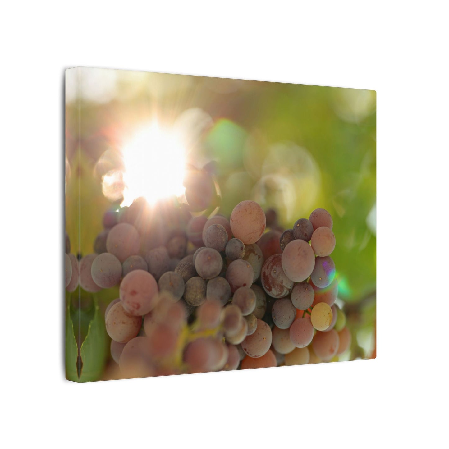 Grape Shine Wall Art Canvas
