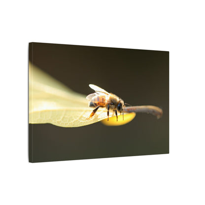 Honey Bee Glow Wall Art Canvas