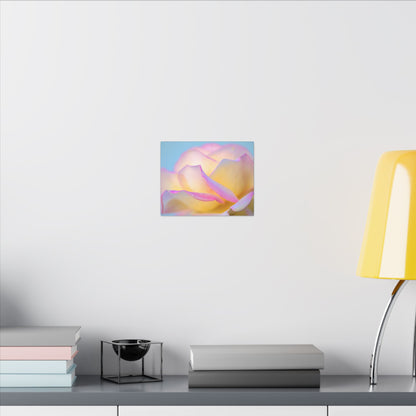 Enchanting Layers Rose Wall Art Canvas