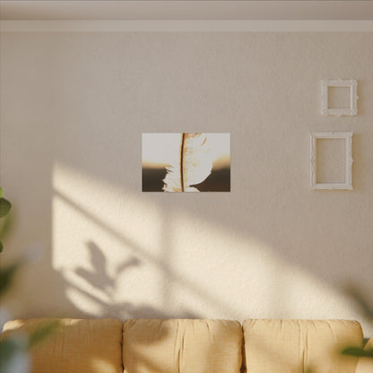 Feather in the Sun Wall Art Canvas