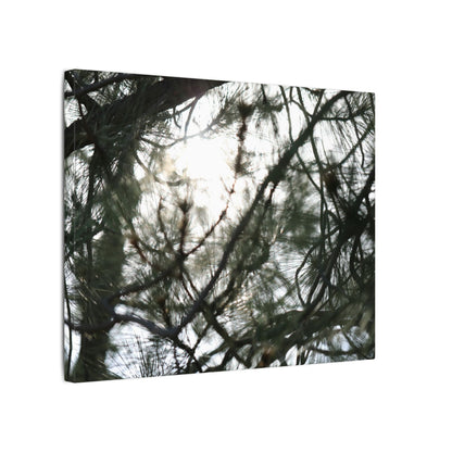 Of The Trees Wall Art Canvas