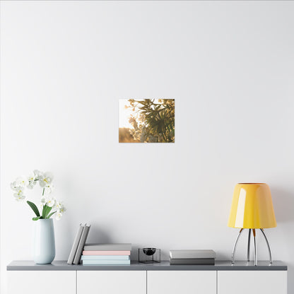 Nerium Oleander Rosebay Wall Art Canvas