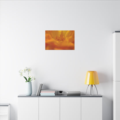 Hidden Gem Rose Wall Art Canvas