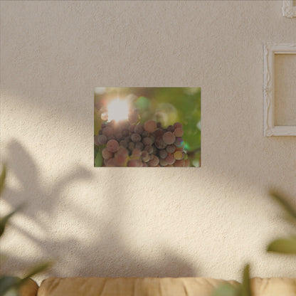 Grape Shine Wall Art Canvas
