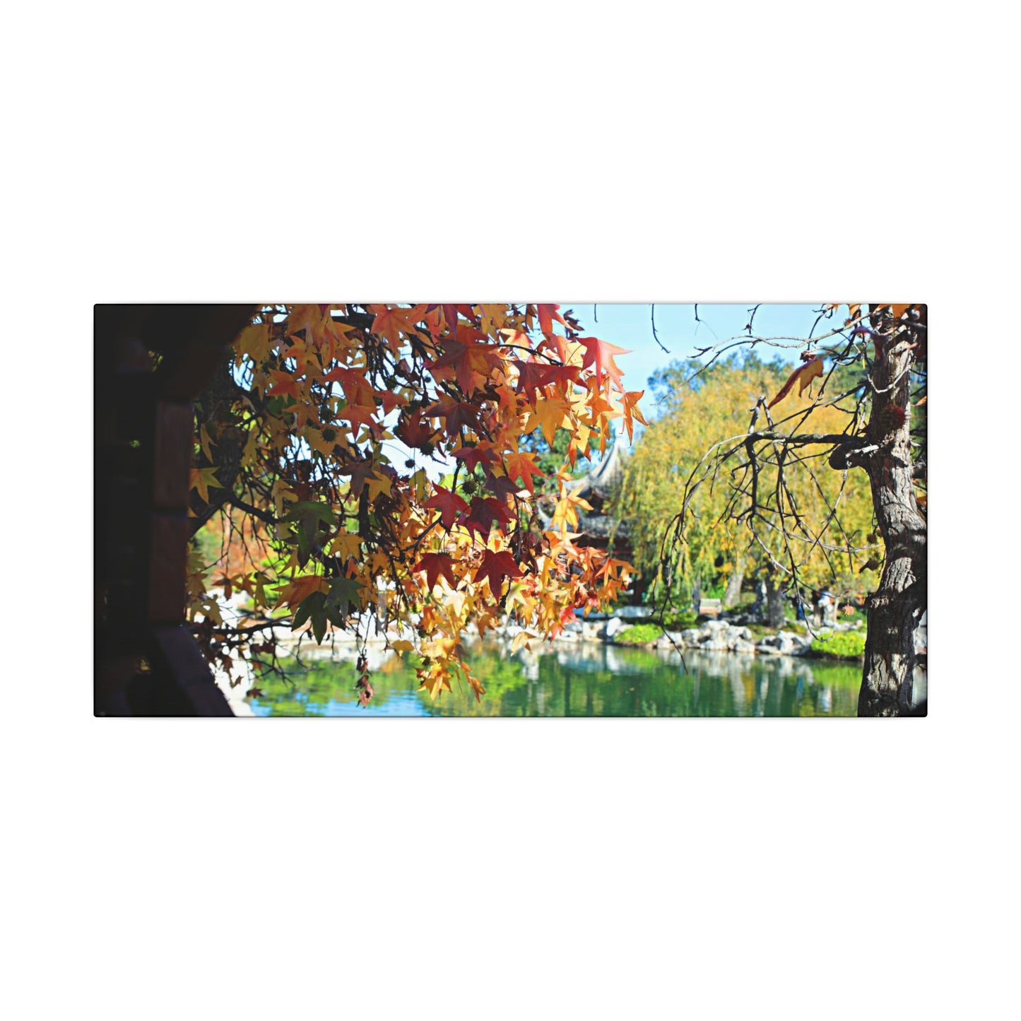 Fall Through the Window Wall Art Canvas