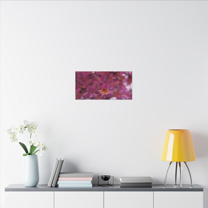 Pink Jacaranda Macro Wall Art Canvas