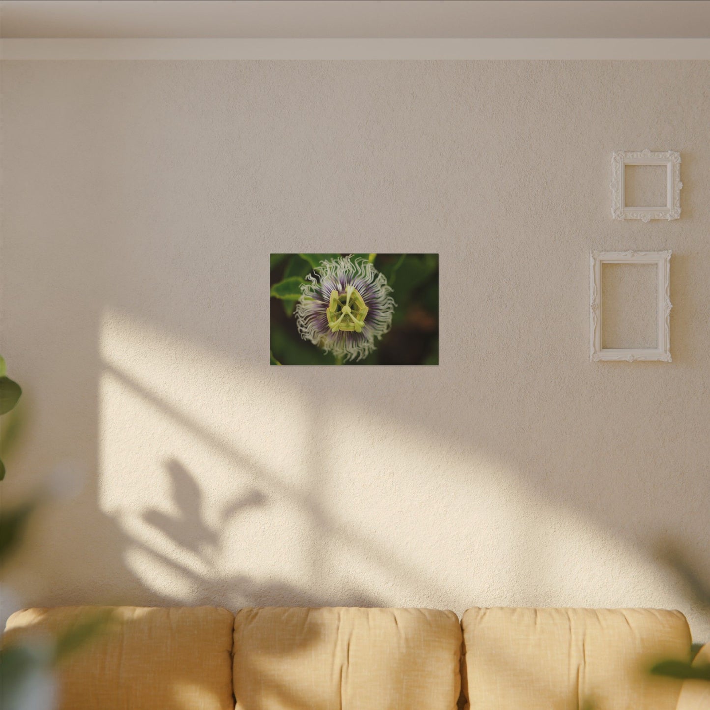 Passiflora Passion Flower Wall Art Canvas