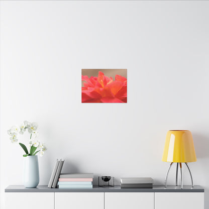 Color Bloom Rose Wall Art Canvas